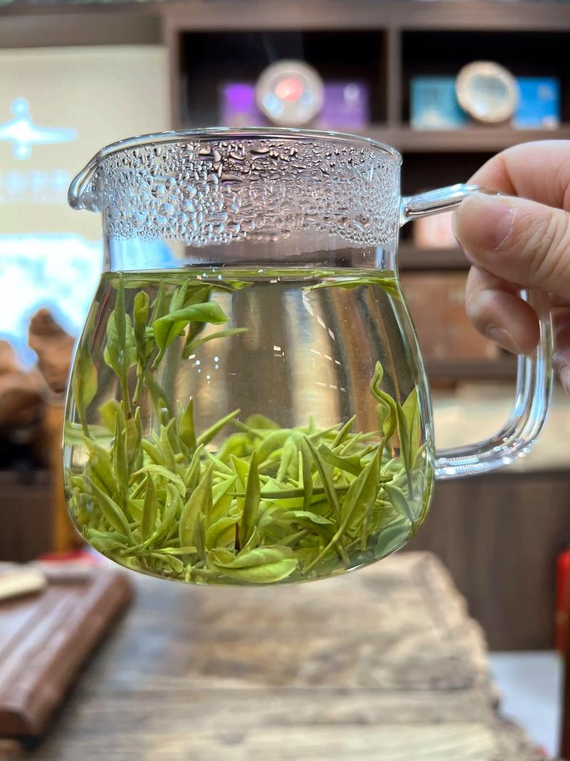 上海品茶文化的魅力与变迁